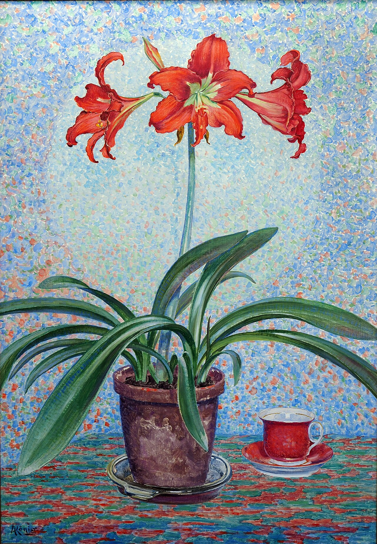 Photo by Albert König — Wikimedia Commons, Public domain Amaryllis