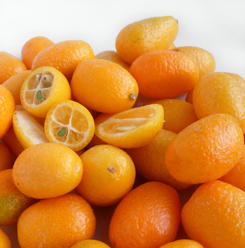 Photo by (c) Robin, some rights reserved (CC BY-SA) — iNaturalist, CC BY-SA Calamondin Orange